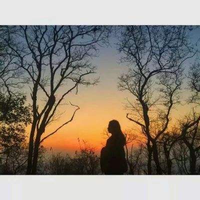 利发app手机登陆截图