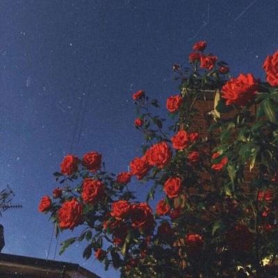 利发app手机登陆截图