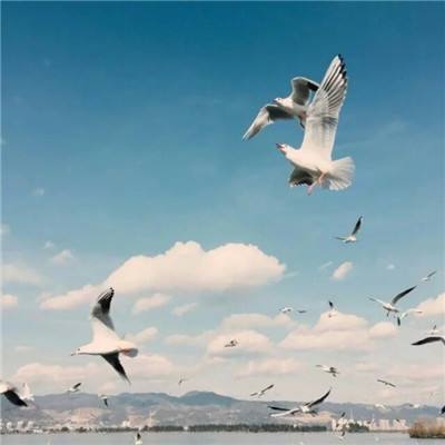 香港资料大全手机app下载